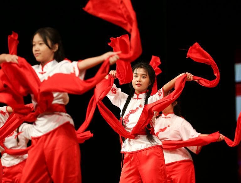 Cultural performances and dance
